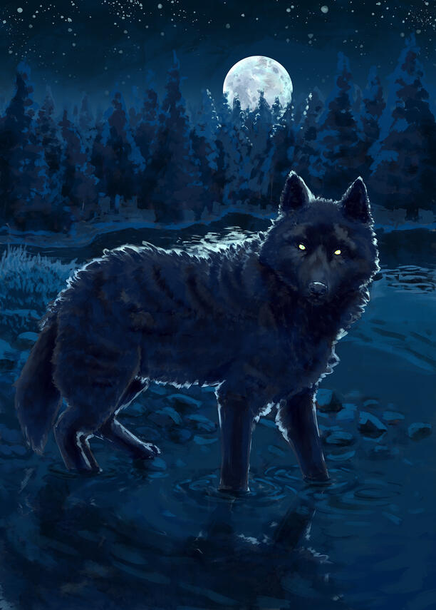 wolf wolf